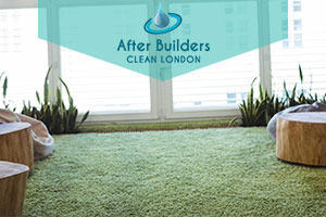 carpet cleaning